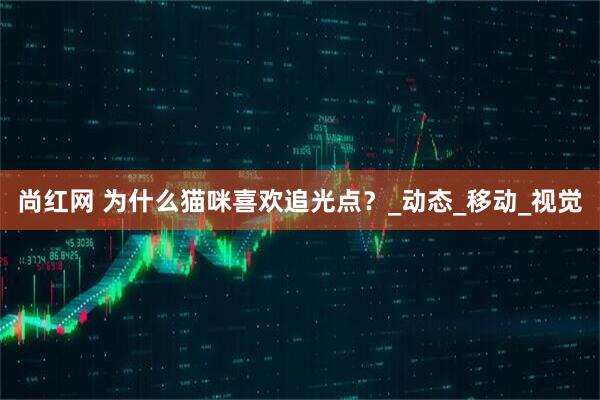 尚红网 为什么猫咪喜欢追光点？_动态_移动_视觉