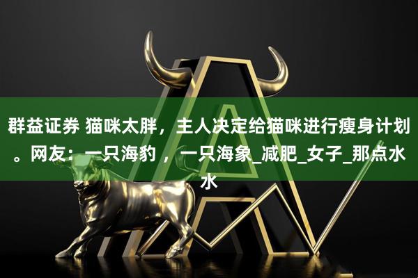 群益证券 猫咪太胖，主人决定给猫咪进行瘦身计划。网友：一只海豹 ，一只海象_减肥_女子_那点水
